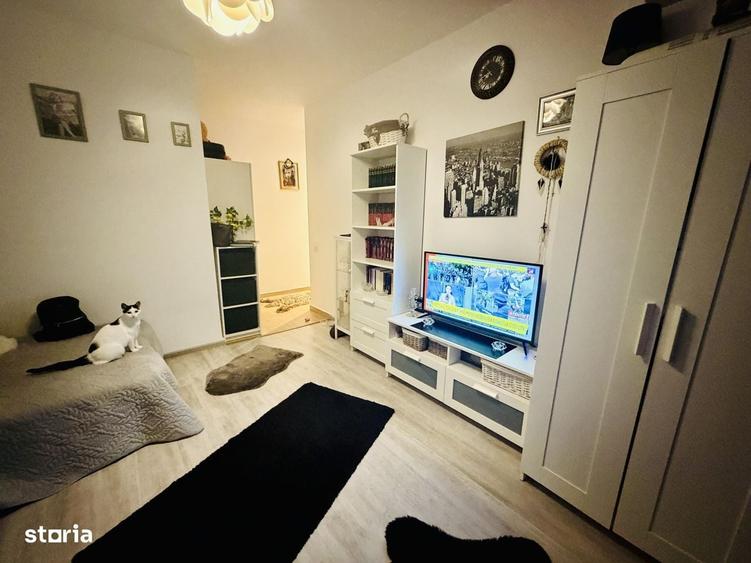 Apartament 2 camere Str Tineretului mobilat si utilat complet zona lin - 10
