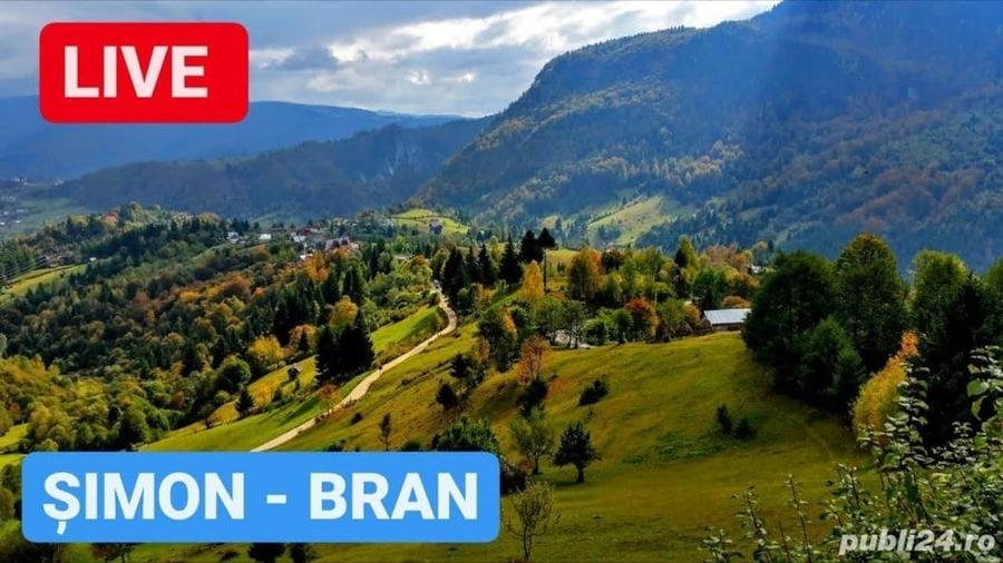 Teren de 6045 mp, în Șimon