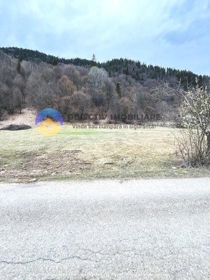 Teren intravilan de 2207 mp, în Tarcău