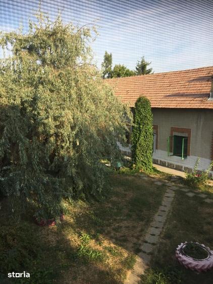 Teren de 49000 mp, în Iancu Jianu