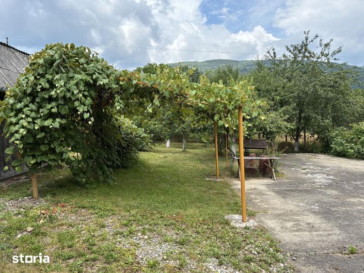 Casă cu 4 camere cu Teren 1300 Mp în Băi