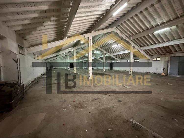 Spațiu industrial, de 1,061 mp, în Dumbrăvioara