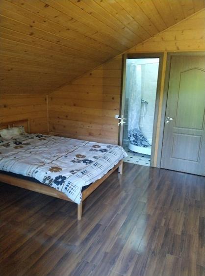 Casă de vacanță în zona subcarpatica - 12