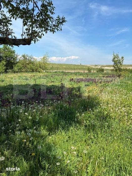 Casă cu 3 camere cu Teren 584 Mp în Central