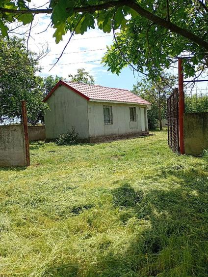 Casă cu 2 camere cu Teren 3500 Mp în Central