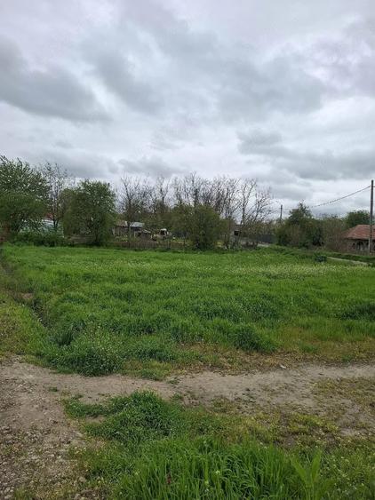 Teren de 750 mp, în Vlădiceasca