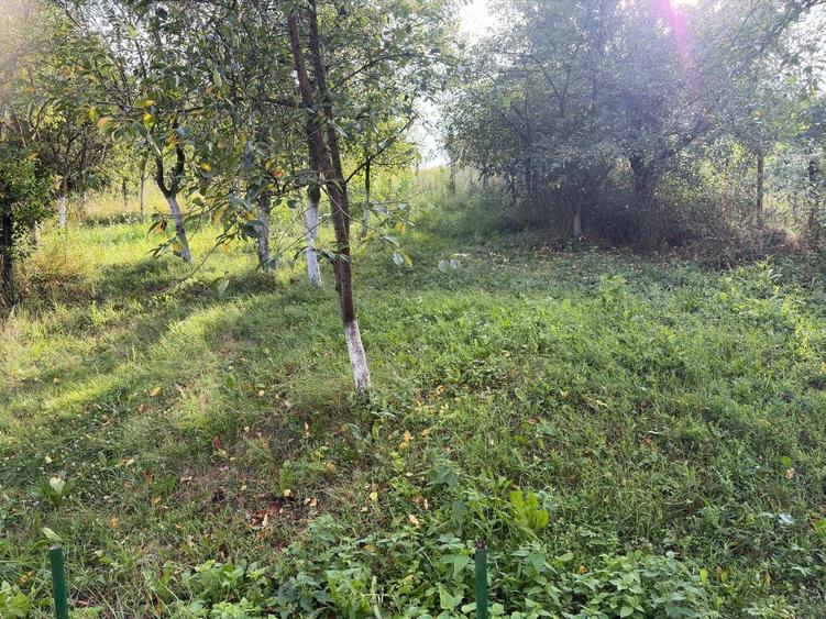 Casă cu 3 camere în Vișea