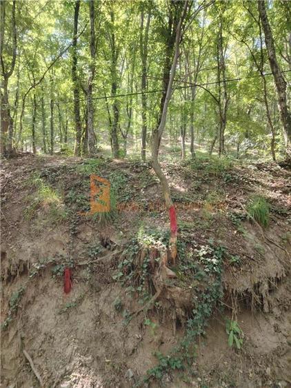 Teren intravilan de 1000 mp, în Sărata-Monteoru