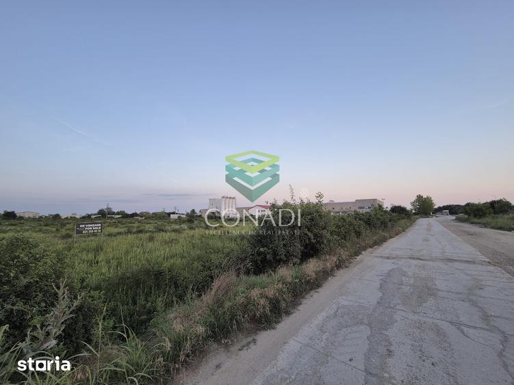Teren de 23943 mp, în Clinceni