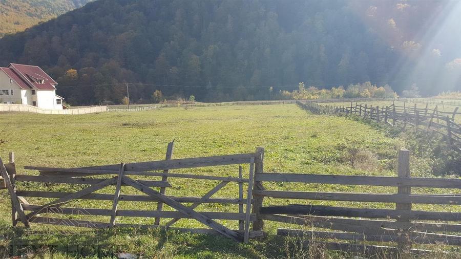 Teren intravilan de 6025 mp, în Lepșa