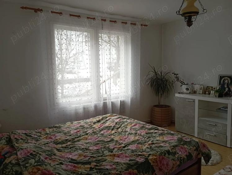 Casă cu 2 camere în Central