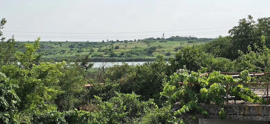 Casă cu Teren 3000 Mp în Dârvari
