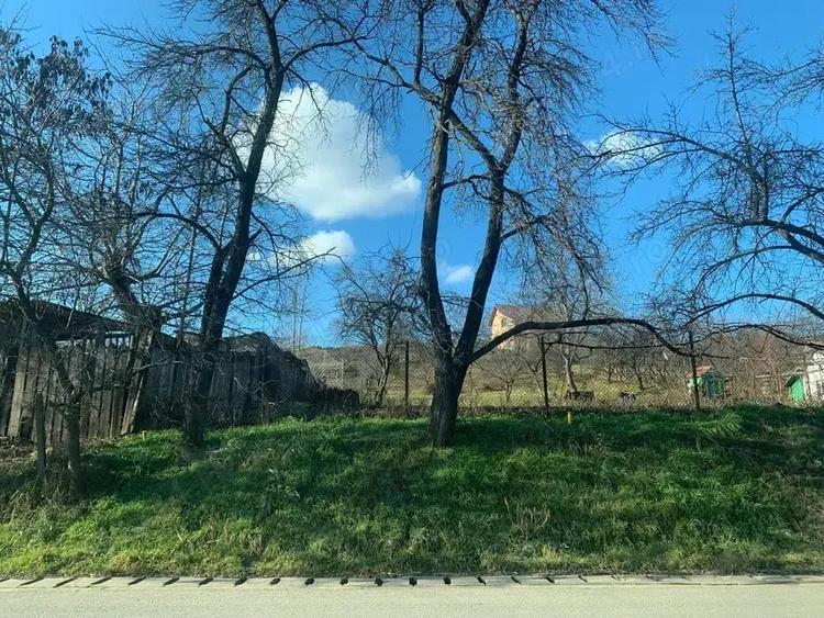 pers fiz BUCIUM str. Plopii fara Sot 9 caminul sf iosif - 1
