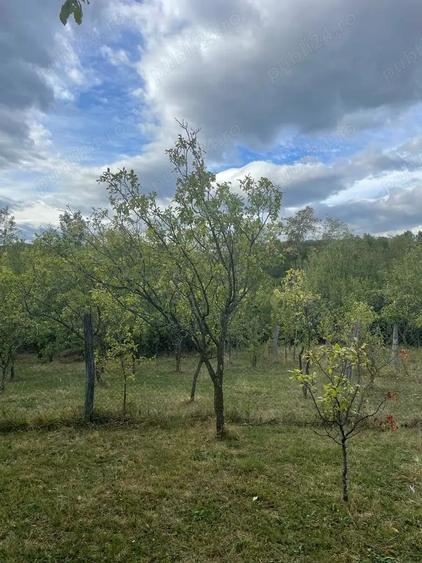 Teren de 1280 mp, în Predeal