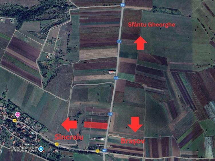 Teren Construcții intravilan de 7400 mp, în Ilieni