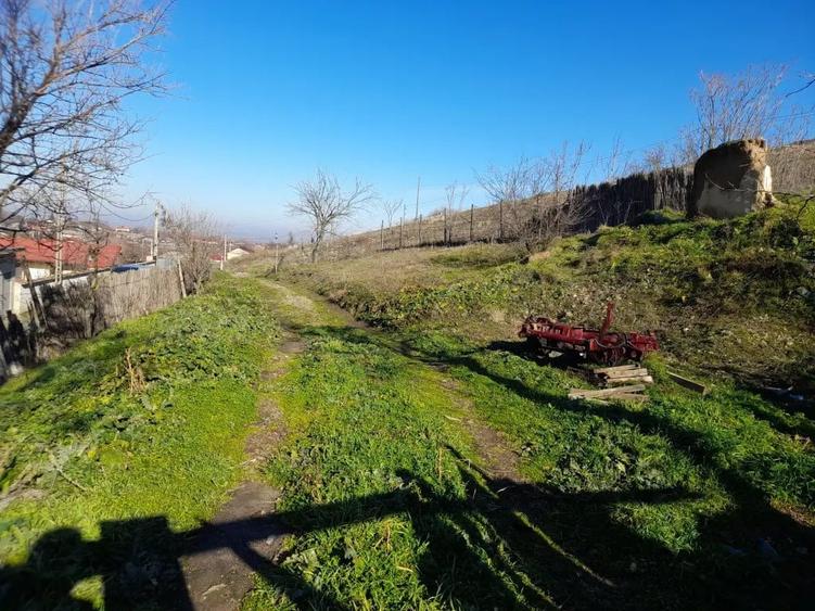 Teren de 600 mp, în Niculițel