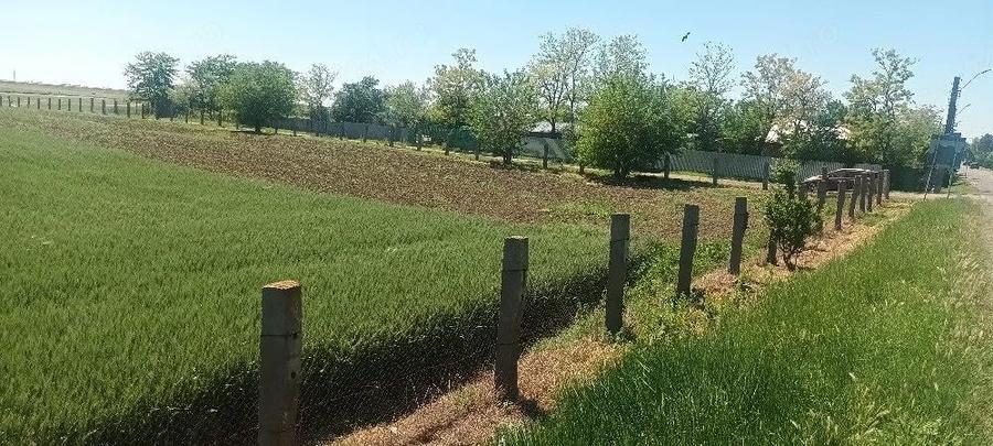 Teren de 16600 mp, în Surdila-Greci