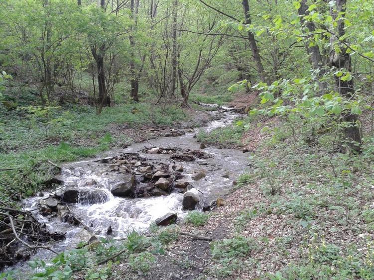 Teren Construcții intravilan de 5700 mp, în Râu de Mori