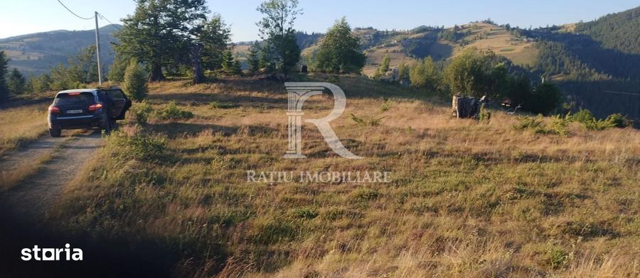 Teren de 3000 mp, în Pleșcuța
