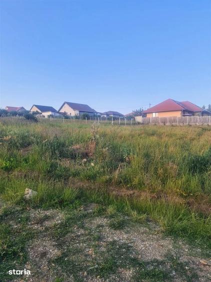 Teren intravilan Zona Gheorghe Doja 1100mp - 7
