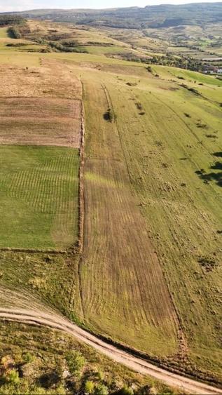 Teren agricol intravilan de 11510 mp, în Sopor