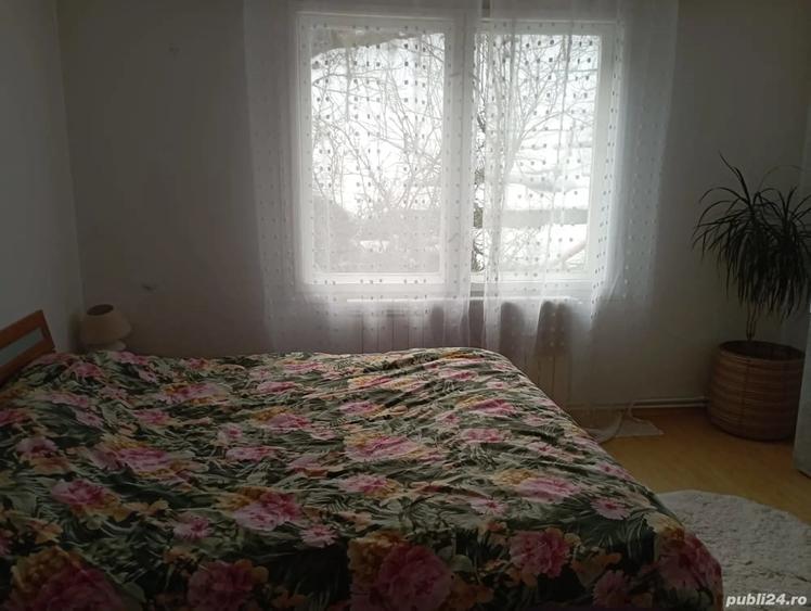 Casă cu 2 camere în Central