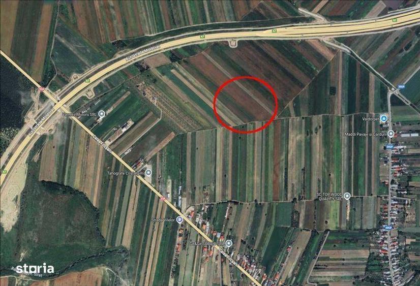 Teren extravilan - apropiere Focsani - 2 ha (20000 mp) - 1