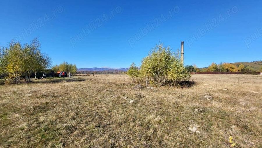 Campulung, terenuri Grui, Flamanda, Valea Romanestilor si Schitu Golesti-proprietar - 1