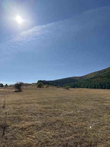 Spațiu comercial, în Orlat