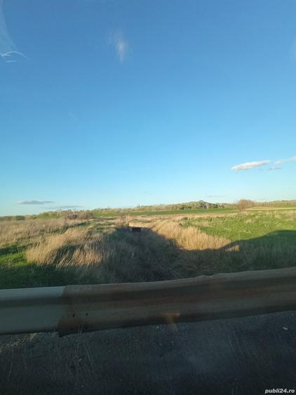 Teren de 5000 mp, în Drânceni