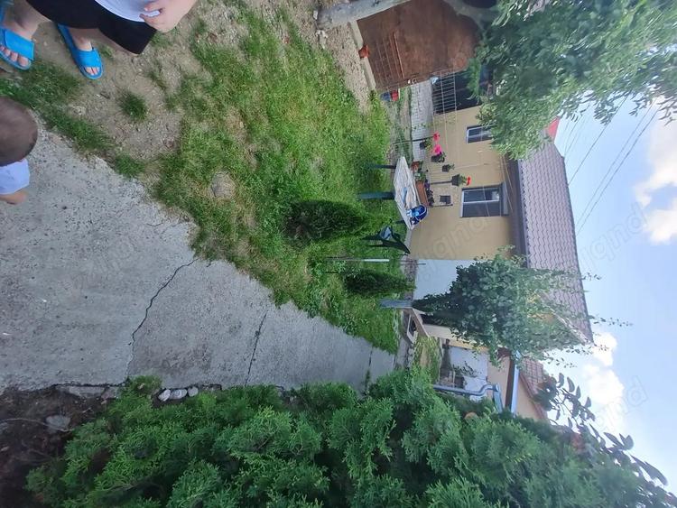 Casă cu 2 camere în Pantelimon