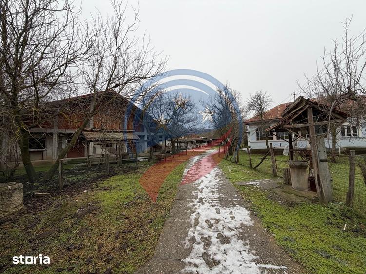 CASA CU TEREN 2500 MP LA 23 KM DE CRAIOVA CU TEAVA DE GAZE - 8