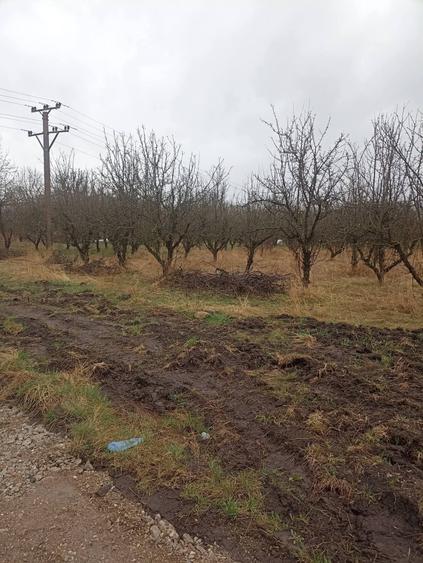 Teren Construcții intravilan de 455 mp, în Periferie