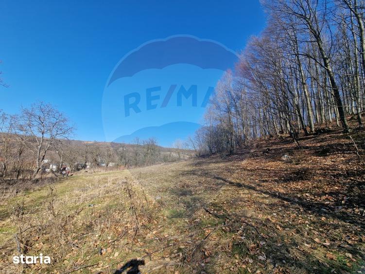 Teren de 4985 mp, în Sascut