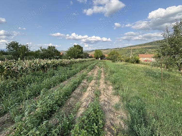 Casa de vanzare - Pianu de Sus - 2