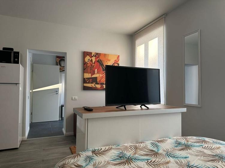 Oferim inspre inchiriere studio in Ghimbav pet friendly - 2