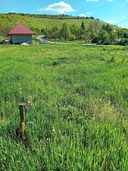 Teren de 1000 mp, în Căianu