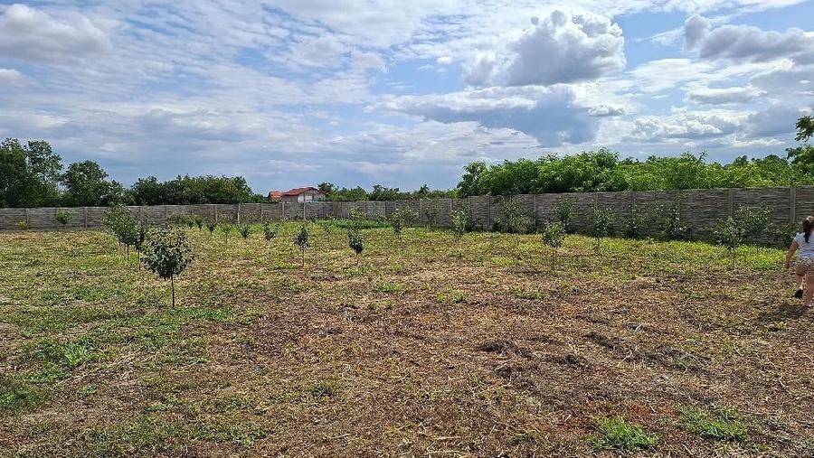 Teren de 1729 mp, în Ghilad