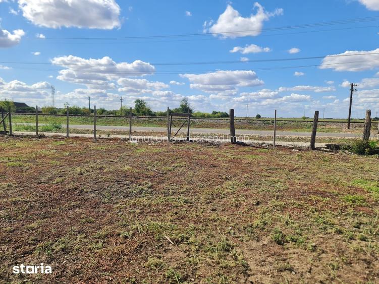 Vand teren agricol 120 Hectare! Compact! In Secusigiu, jud. Arad.