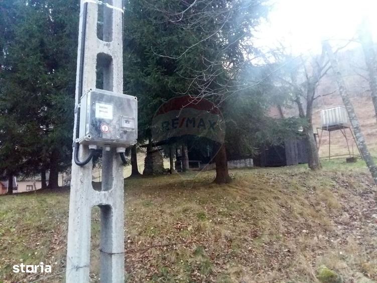 Teren de 6700 mp, în Pietroasa