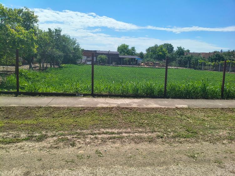 Teren Construcții intravilan de 900 mp, în Biled