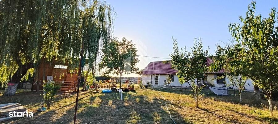Casă cu 4 camere cu Teren 3250 Mp în Bucovăț