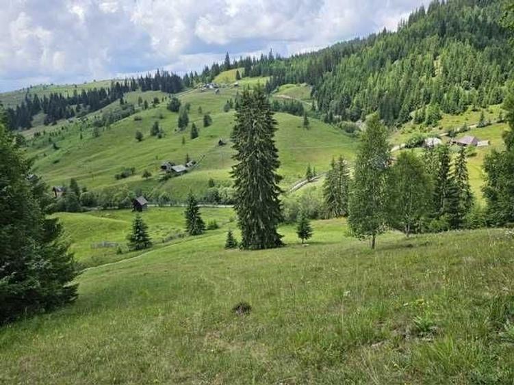 Spațiu comercial, în Breaza