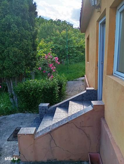 Casă cu 3 camere cu Teren 3000 Mp în Central