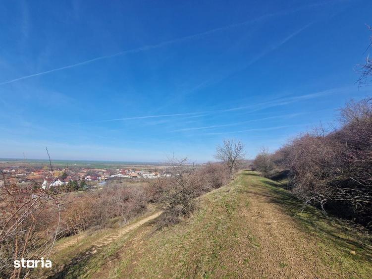 Teren extravilan, zona si priveliste superba, Cuvin - 1