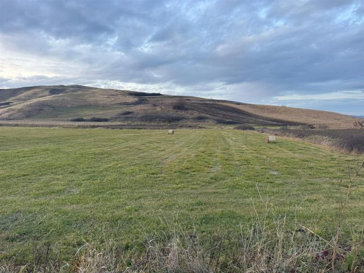 Teren Construcții de 6000 mp, în Cojocna