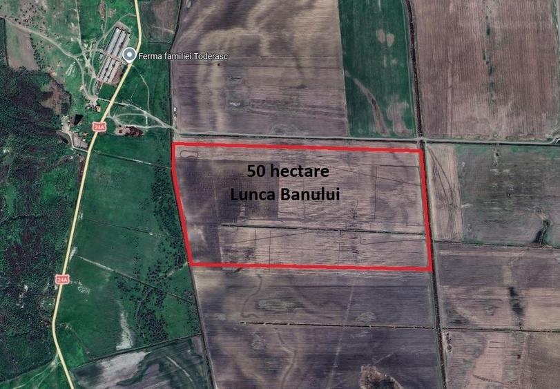 Teren agricol extravilan de 500000 mp, în Lunca Banului