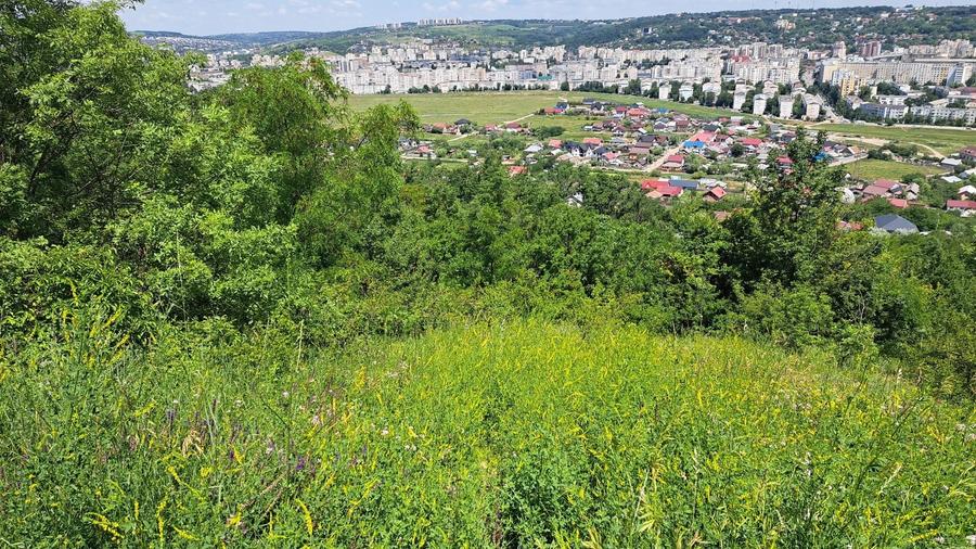 Teren extravilan Iasi, Galata, T54 - 3