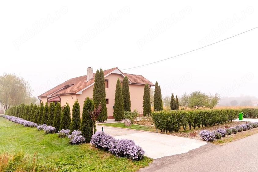 Casă cu 4 camere cu Teren 3200 Mp în Archiș