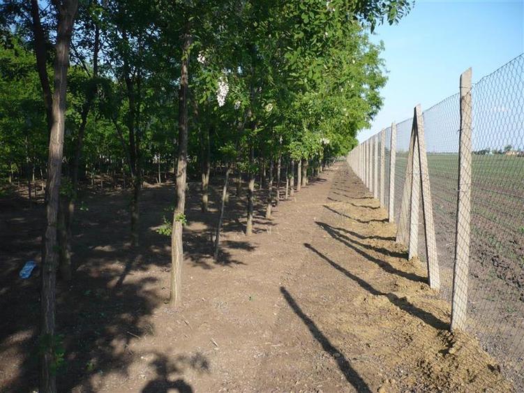 Casă individuală cu 5 camere cu Teren 7241 Mp în Central